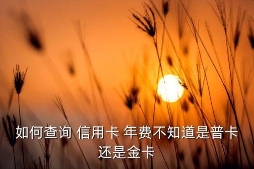 如何查询 信用卡 年费不知道是普卡还是金卡