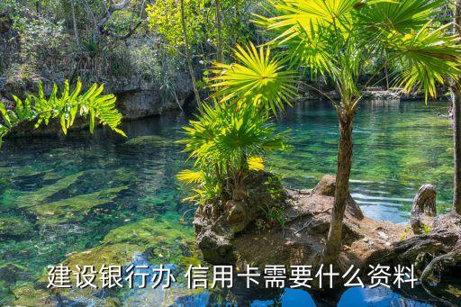 甘肃建设银行信用卡申请,建设银行信用卡好申请吗?额度高吗