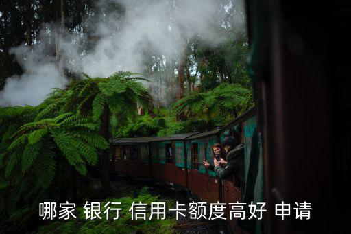 哪家 银行 信用卡额度高好 申请