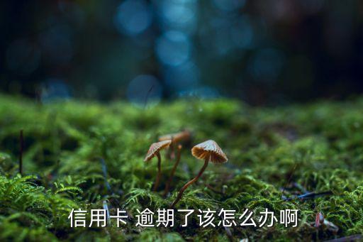  信用卡 逾期了该怎么办啊