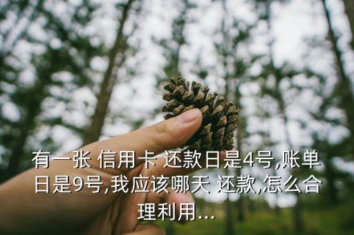 有一张 信用卡 还款日是4号,账单日是9号,我应该哪天 还款,怎么合理利用...