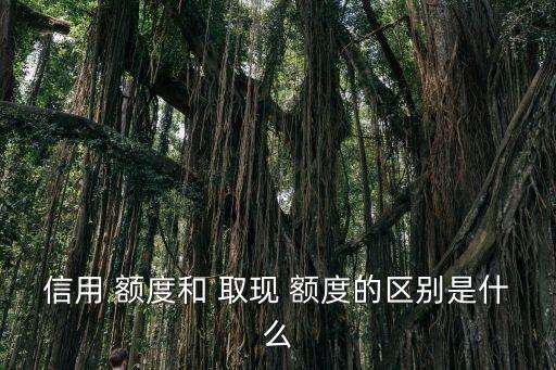 信用 额度和 取现 额度的区别是什么