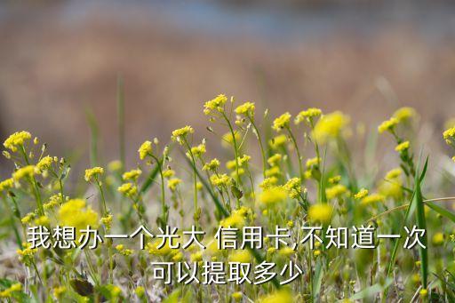 光大银行信用卡领取额度