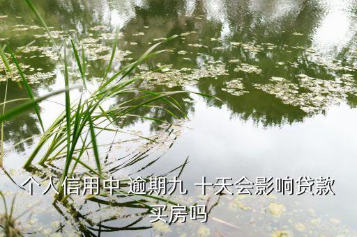 信用卡逾期十天买不了房