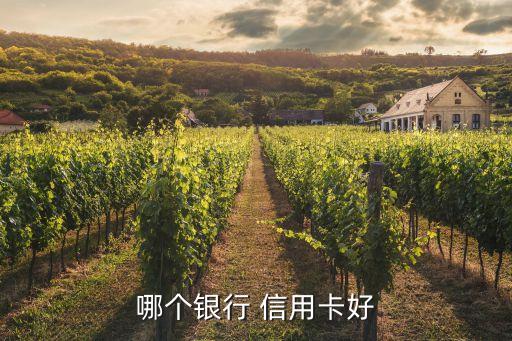 哪个银行 信用卡好