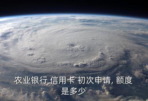 农业银行 信用卡 初次申请, 额度是多少