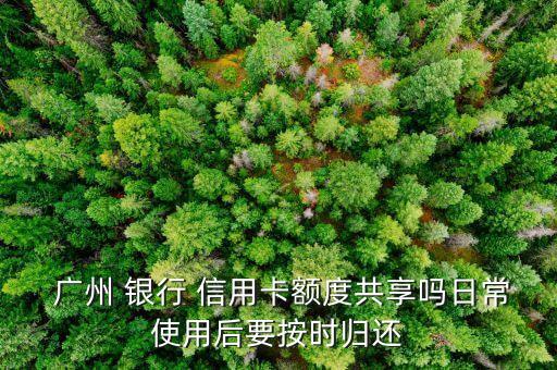  广州 银行 信用卡额度共享吗日常使用后要按时归还