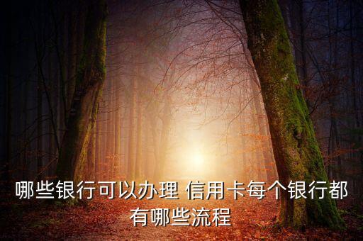 哪些银行可以办理 信用卡每个银行都有哪些流程