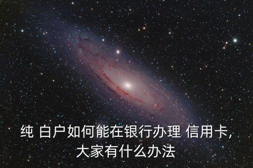 纯 白户如何能在银行办理 信用卡,大家有什么办法