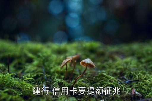 建行信用卡总是给临时额度