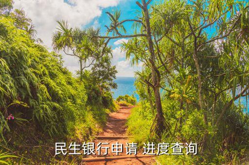  民生银行申请 进度查询