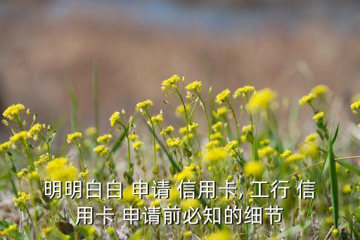 明明白白 申请 信用卡, 工行 信用卡 申请前必知的细节
