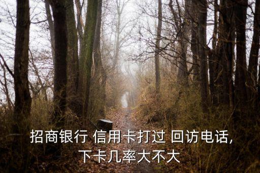  招商银行 信用卡打过 回访电话,下卡几率大不大