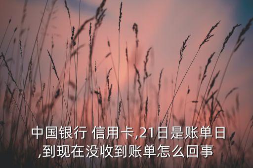  中国银行 信用卡,21日是账单日,到现在没收到账单怎么回事
