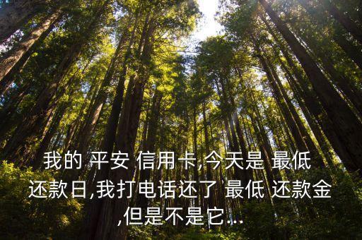 我的 平安 信用卡,今天是 最低 还款日,我打电话还了 最低 还款金,但是不是它...