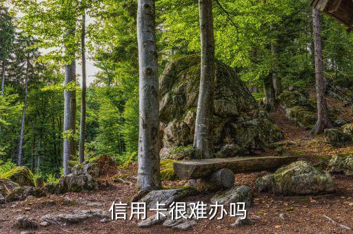  信用卡很难办吗