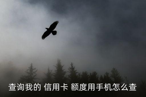 查询我的 信用卡 额度用手机怎么查