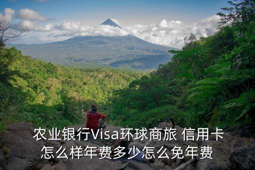  农业银行Visa环球商旅 信用卡怎么样年费多少怎么免年费