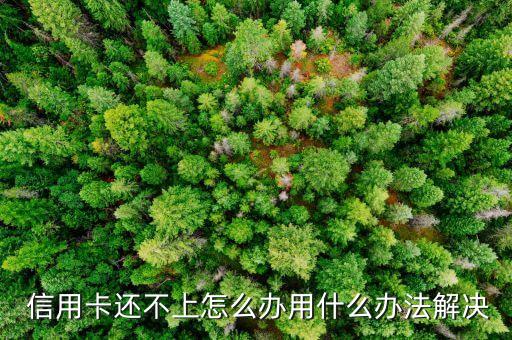  信用卡还不上怎么办用什么办法解决