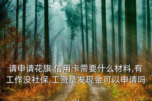 请申请花旗 信用卡需要什么材料,有工作没社保,工资是发现金可以申请吗...