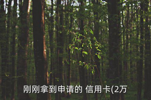 刚刚拿到申请的 信用卡(2万