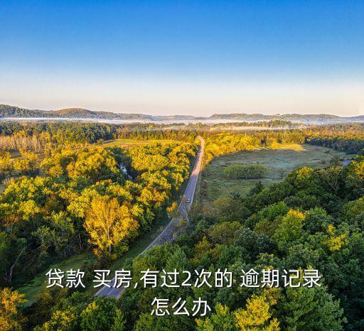  贷款 买房,有过2次的 逾期记录怎么办