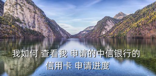 我如何 查看我 申请的中信银行的 信用卡 申请进度
