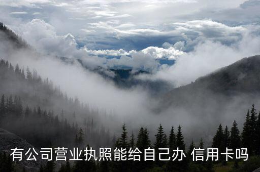 有公司营业执照能给自己办 信用卡吗