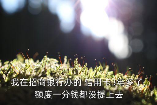 我在招商银行办的 信用卡3年多了, 额度一分钱都没提上去