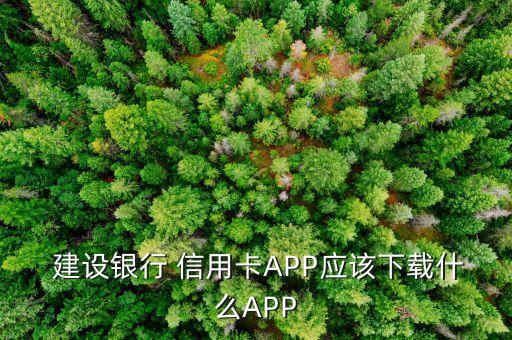  建设银行 信用卡APP应该下载什么APP