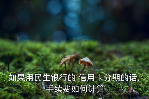 如果用民生银行的 信用卡分期的话, 手续费如何计算