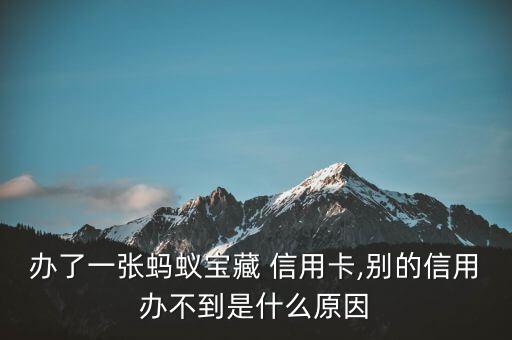 办了一张蚂蚁宝藏 信用卡,别的信用办不到是什么原因