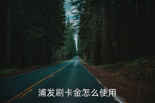 浦发刷卡金怎么使用