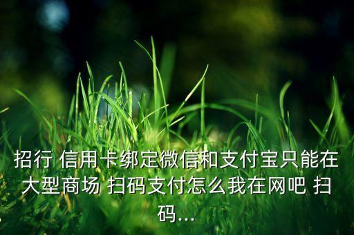 招行 信用卡绑定微信和支付宝只能在大型商场 扫码支付怎么我在网吧 扫码...