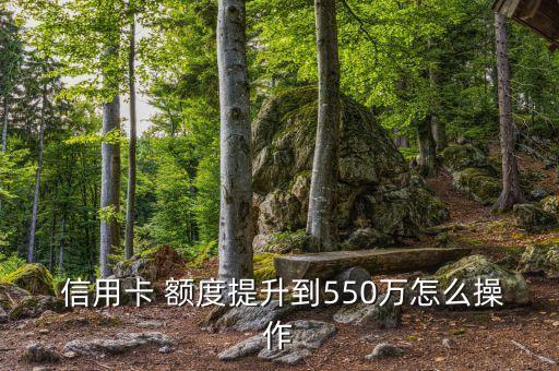  信用卡 额度提升到550万怎么操作