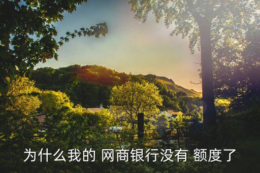 为什么我的 网商银行没有 额度了