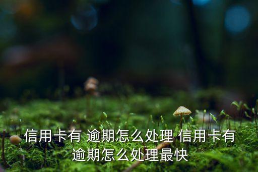  信用卡有 逾期怎么处理 信用卡有 逾期怎么处理最快