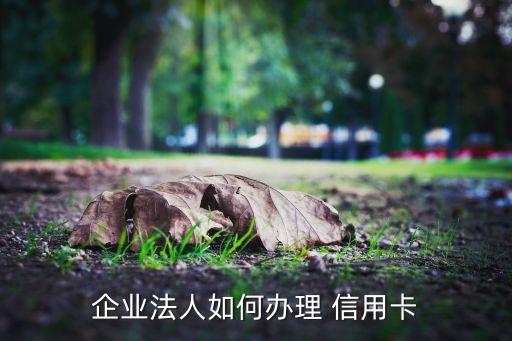 企业法人如何办理 信用卡