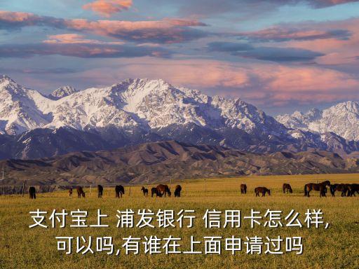 支付宝上 浦发银行 信用卡怎么样,可以吗,有谁在上面申请过吗