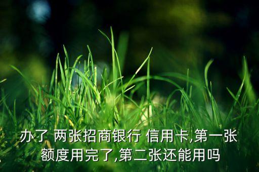 有两张招行信用卡额度,招行两张信用卡如何还款