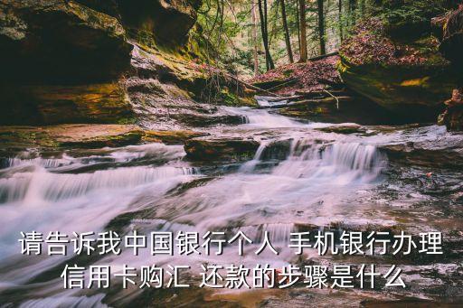 请告诉我中国银行个人 手机银行办理 信用卡购汇 还款的步骤是什么