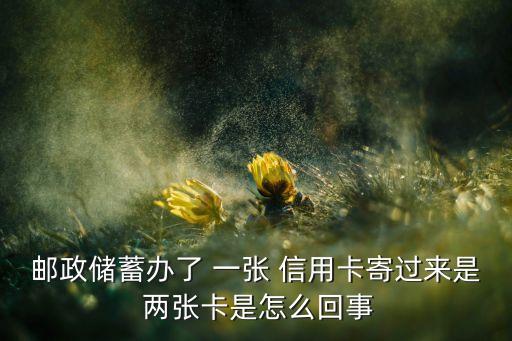 邮政储蓄办了 一张 信用卡寄过来是 两张卡是怎么回事