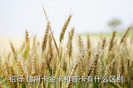 招行 信用卡金卡和普卡有什么区别
