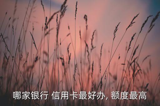 哪家银行 信用卡最好办, 额度最高