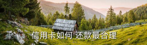 信用卡刚用怎么还款最划算,怎么给别人还信用卡还款