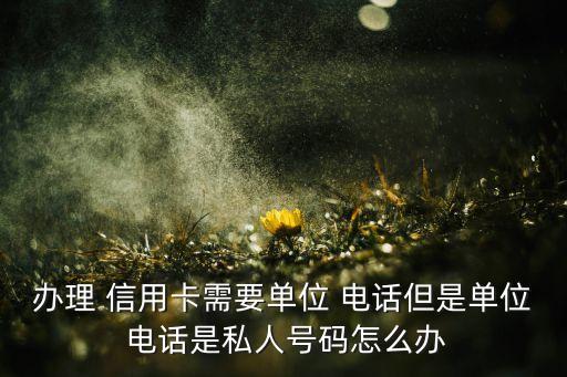 办理 信用卡需要单位 电话但是单位 电话是私人号码怎么办