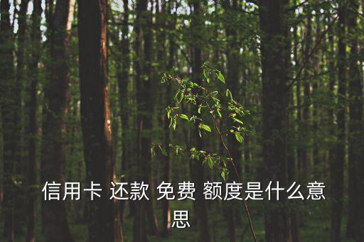  信用卡 还款 免费 额度是什么意思
