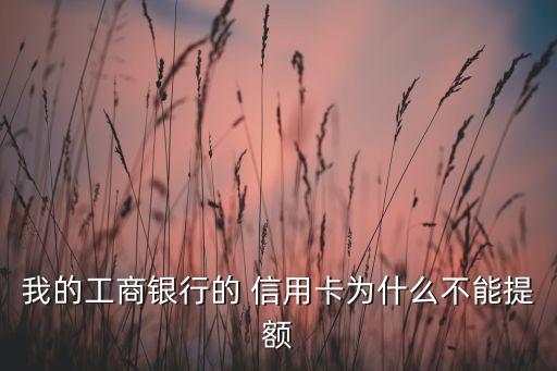 我的工商银行的 信用卡为什么不能提额