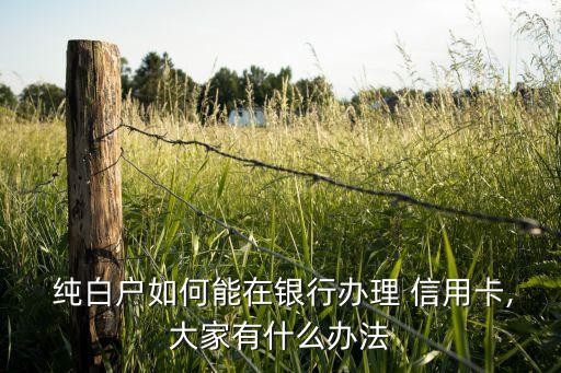  纯白户如何能在银行办理 信用卡,大家有什么办法