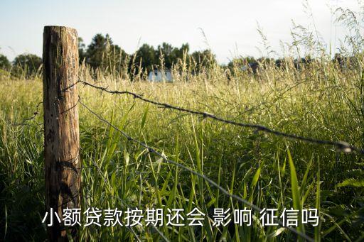 小额贷款按期还会 影响 征信吗